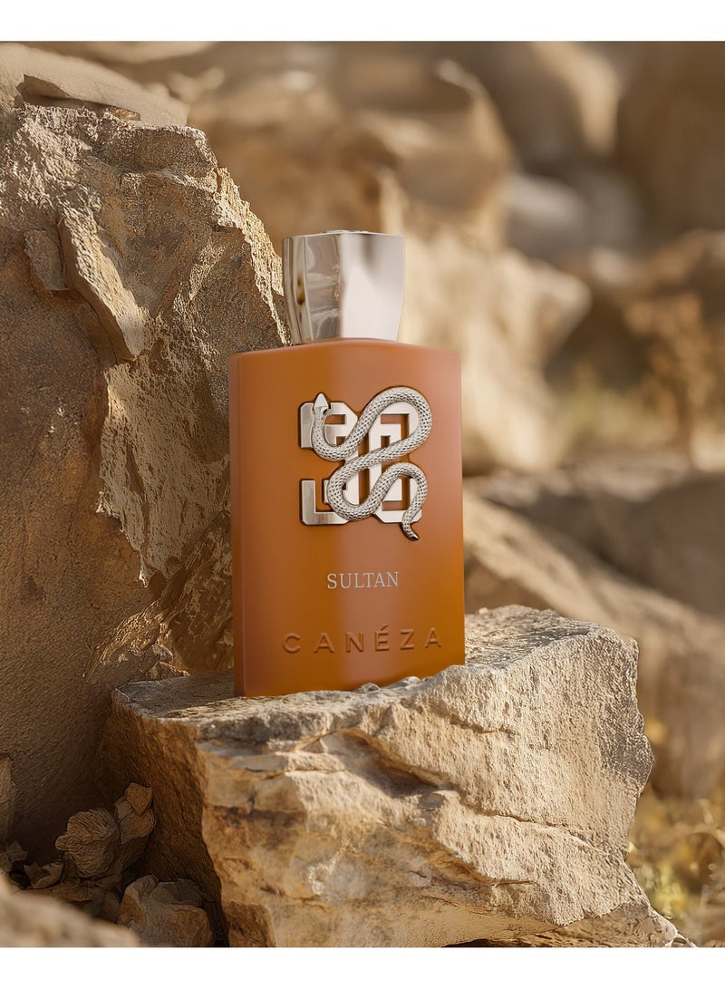 Canéza Caneza  Sultan Intense Eau de Parfum - Deep Amber Spiced Blend with Guaiac Wood, Musk & Resinous Warmth | Bold Long-Lasting Scent | 100ML - Image 3